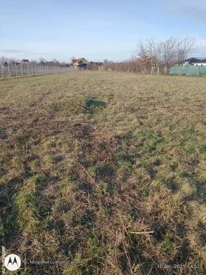 INVESTITIE ! Sacalaseni intravilan  - imagine 6