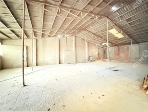 Hala industriala de vanzare in Cisnadie 1173 mp