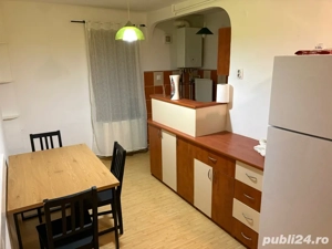 De inciriat apartament cu 2 camere in tudor - imagine 8