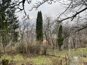 Teren 1357 mp cu vedere panoramică superbă – Dimitrie Cantemir, Piatra-Neamț - imagine 9