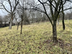Teren 1357 mp cu vedere panoramică superbă – Dimitrie Cantemir, Piatra-Neamț - imagine 4