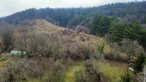 Teren 1357 mp cu vedere panoramică superbă – Dimitrie Cantemir, Piatra-Neamț - imagine 6