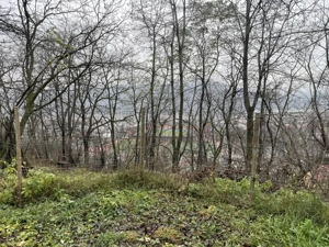 Teren 1357 mp cu vedere panoramică superbă – Dimitrie Cantemir, Piatra-Neamț - imagine 14