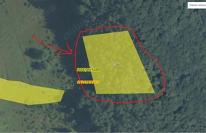 Vand padure in muntii Apuseni