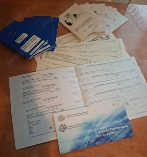 Ciobănesc Est European - imagine 2