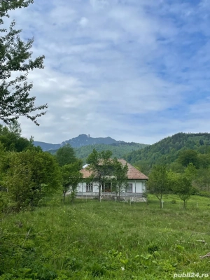 Vand teren si casa - imagine 2