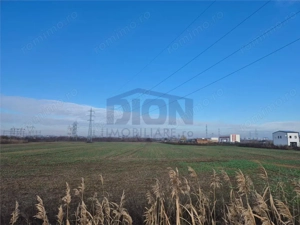 TEREN INTRAVILAN 10000 MP  POPESTI LEORDENI HILS SPLAI - imagine 5