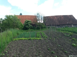 vând casă săsească  - imagine 10