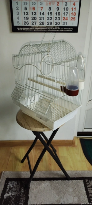 vand colivie pasari mici.