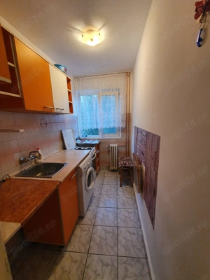 Apartament confort 2, etaj 1, Malu Rosu - imagine 7