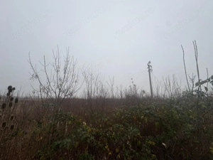 COMISION 0 | Teren intravilan | 17.700 mp | Zona Freidorf - imagine 2