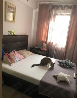 3 camere modificat in 2 camere Sagului - imagine 5