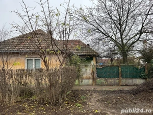 vand casa cu teren in Carani - imagine 3