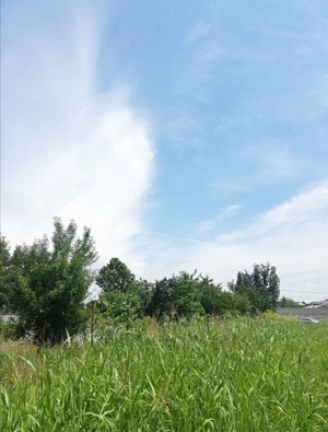 Inchiriez teren intravilan in comuna Berceni