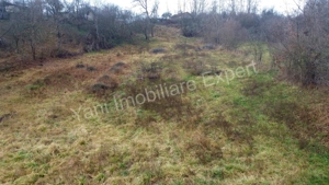 Teren de vânzare în comuna Valea Iasului, județ Argeș. - imagine 3