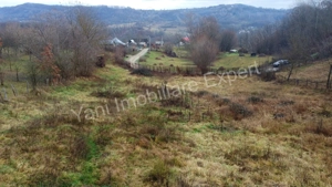 Teren de vânzare în comuna Valea Iasului, județ Argeș. - imagine 4