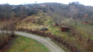 Teren de vânzare în comuna Valea Iasului, județ Argeș. - imagine 9