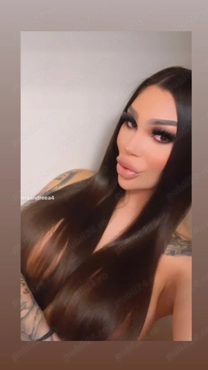 Model  transActiv  whassap 