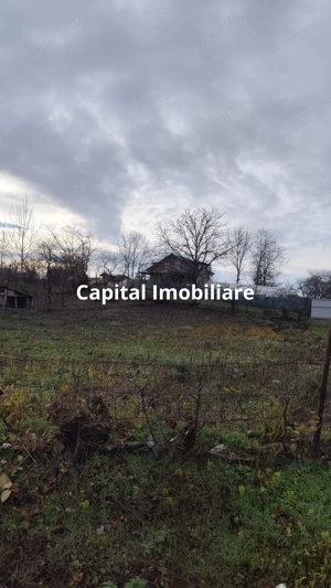 Teren Intravilan Baicoi 1061 mp - imagine 4