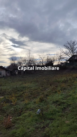 Teren Intravilan Baicoi 1061 mp - imagine 5