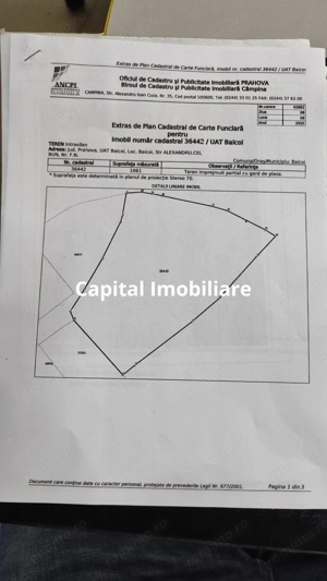 Teren Intravilan Baicoi 1061 mp - imagine 6
