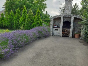 COMISION 0% | Vila 32 camere |Mircea cel Batran|Cazare muncitori|Azil - imagine 6