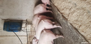 de vânzare  - imagine 2