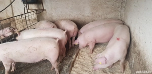 de vânzare  - imagine 4