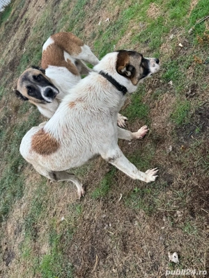 asia centrala - imagine 3