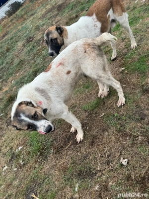 asia centrala - imagine 4