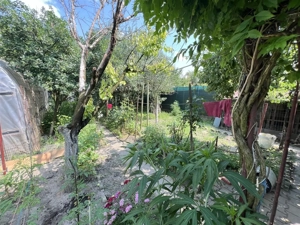 Casa pentru 2 familii zona Ghiroda CENTRALA teren 570mp - imagine 15