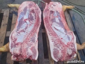 Carcasa de porc de vanzare