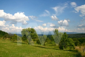 Teren de vânzare în Daia, Sibiu – 600 mp, priveliște superbă spre munți