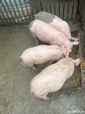 De vanzare  - imagine 2