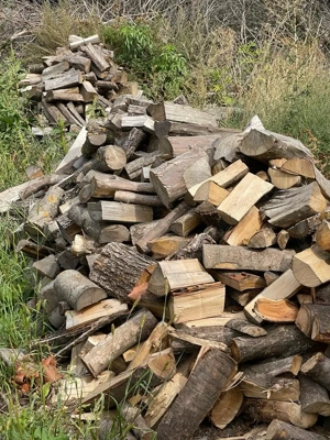 Depozit lemn de foc verde sau uscat in  Baisa, Botosani - imagine 4