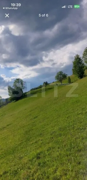 Teren intravilan de vânzare, 2500 mp, comuna Vidra