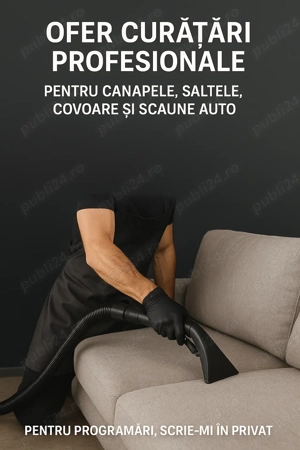 Ofer servicii profesionale de curățare pentru canapele, saltele, covoare și scaune auto.
