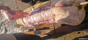 vand porci - imagine 4