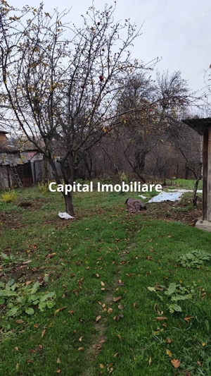 Casa Baicoi caramida 135 mp - imagine 12