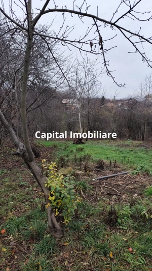 Casa Baicoi caramida 135 mp - imagine 14