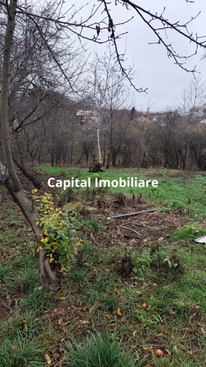 Casa Baicoi caramida 135 mp - imagine 13