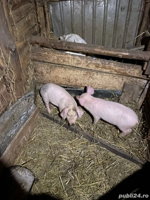 De vinzare  - imagine 3