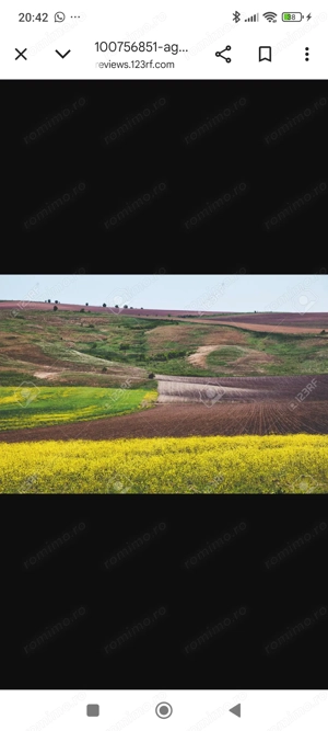 Cand teren agricol Valea Argovei