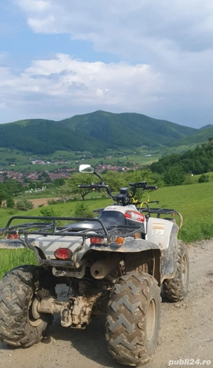 Linhai worker 300 - imagine 3