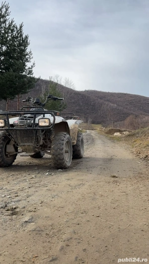 Linhai worker 300 - imagine 2