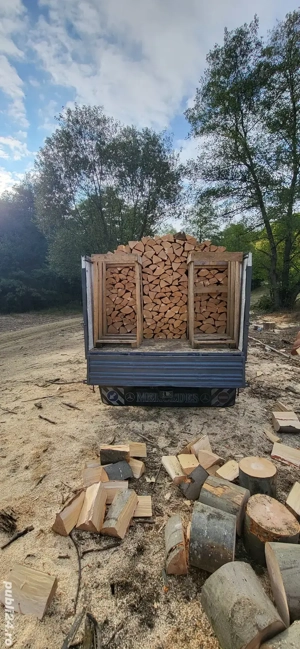 lemne de foc taite sparte transport inclus  - imagine 3