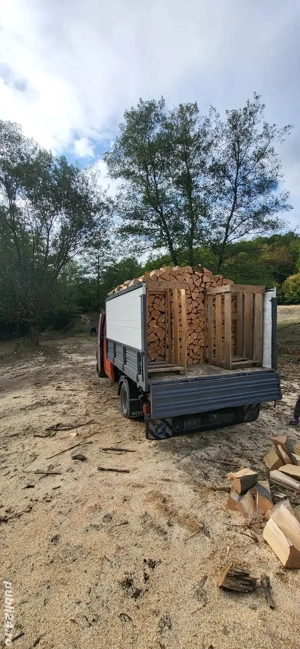 lemne de foc taite sparte transport inclus  - imagine 2