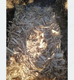 Baloti de coceni de porumb 