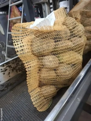 cartofi albi cu miezul galben