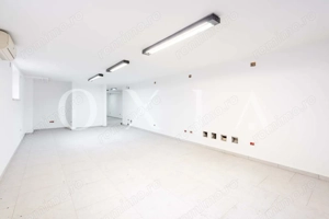 AX1169 Central, Spatiu Comercial Renovat